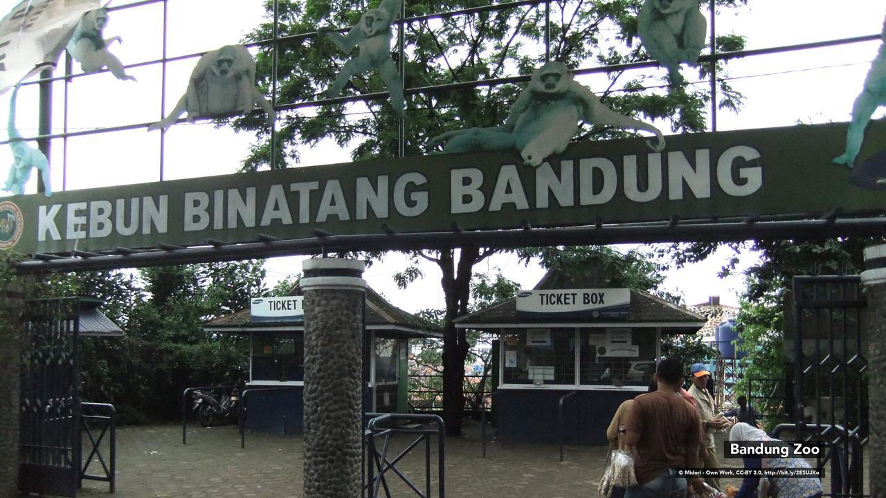 Zen Premium Setrawangi Raya Hotel Bandung